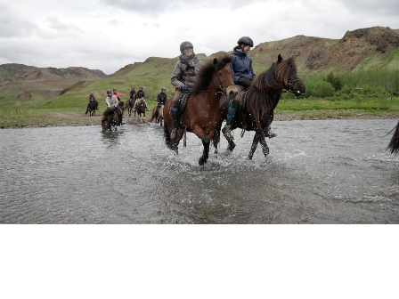 Iceland -Ride, Hot Springs and Whales!